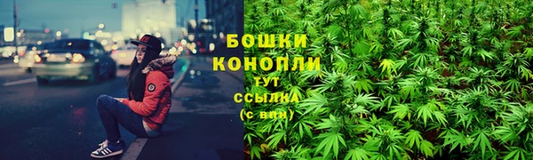 молекула духа Горно-Алтайск