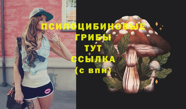 молекула духа Горно-Алтайск
