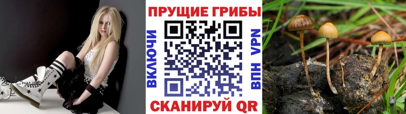 что такое   Гусиноозёрск  omg вход  Галлюциногенные грибы MAGIC MUSHROOMS 