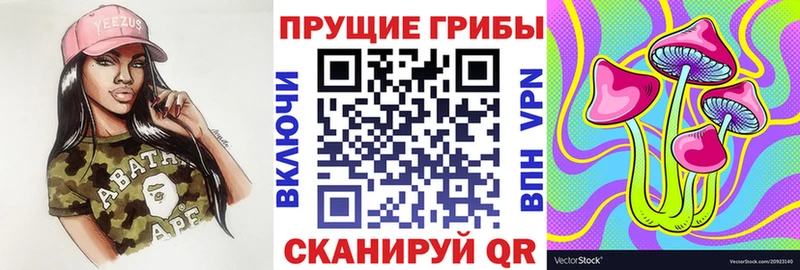 Псилоцибиновые грибы мухоморы Гусиноозёрск